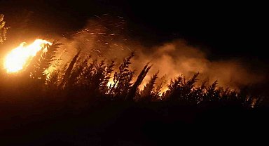 İzmir'de makilik ve ormanlık alanda yangın