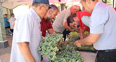 İzmit'te başlayan fide desteği, Gebze köylerine ulaştı