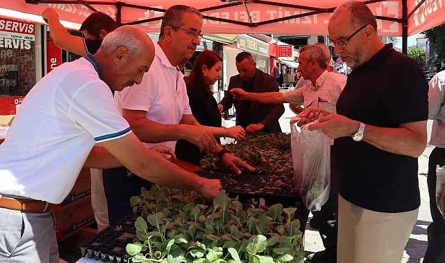 İzmit'ten vatandaşlara fide hediyesi