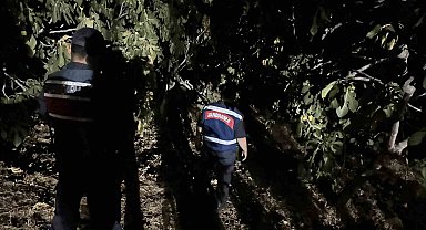 Jandarma, incir hırsızlarına geçit vermiyor