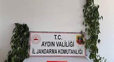 Jandarmadan uyuşturucu operasyonu: 12 şüpheli yakalandı