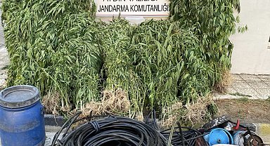Jandarmadan uyuşturucu operasyonu: 17 yakalama