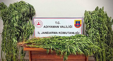 Jandarmadan uyuşturucu operasyonu: 9 gözaltı