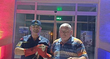 Jandarmanın bulduğu yaralı Kocagöz koruma altına alındı