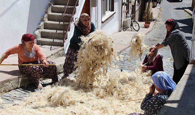 Kadın muhtar başlattı: Yünleri imece usulü havalandırıyorlar