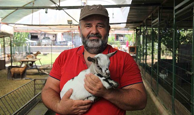 Kafasındaki poşetle sürüye kabusu yaşatan keçinin sahibi: "Poşetin içinde küçük bir delik açmış oradan nefes alabiliyordu"