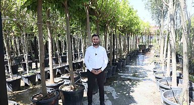 Kağıthane'ye 50 bin ağaç ve 1 milyon metrekare yeşil alan kazandırıldı
