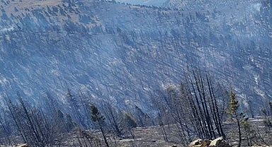 Kahramanmaraş'taki orman yangını sürüyor