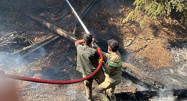 Kahramanmaraş'taki orman yangınına müdahale sürüyor