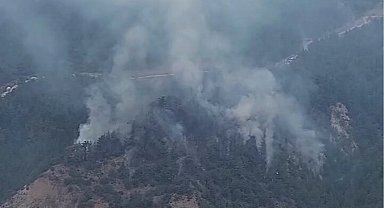 Karabük Yeşilköy'de orman yangını