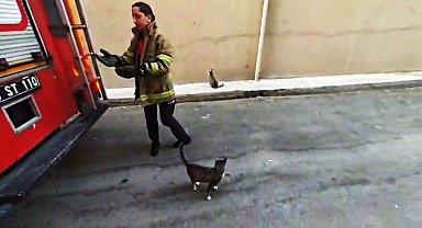Karabük'te boş daire balkonunda mahsur kalan kedi kurtarıldı