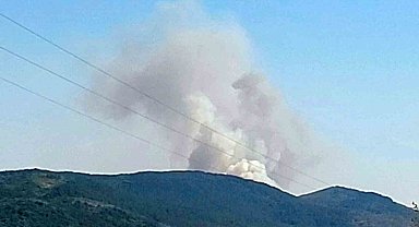 Karabük'te orman yangını çıktı