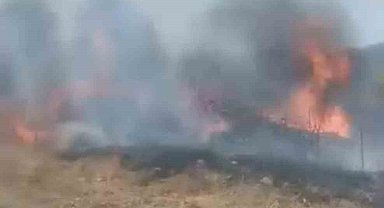 Karabük'te otluk alanda çıkan yangın korkuttu
