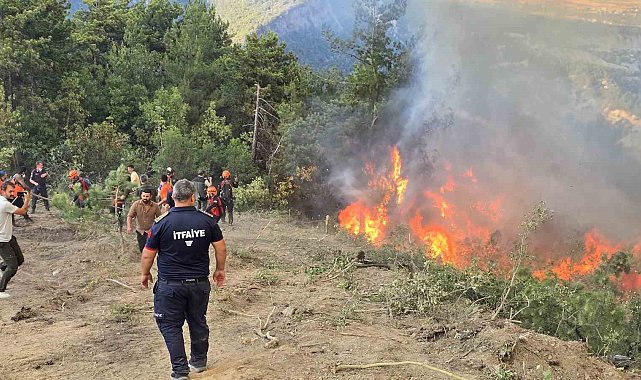 Karabük'teki orman yangınını söndürme çalışmaları devam ediyor