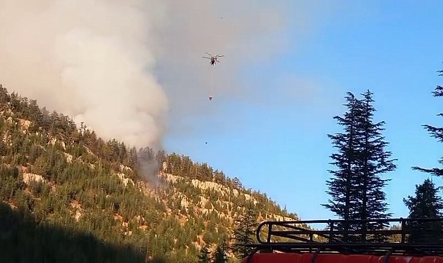 Karaman Valiliği: "Orman yangınına 137 personel ve 3 helikopterle müdahale ediliyor"