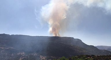 Karaman'da çıkan orman yangınına havadan ve karadan müdahale ediliyor