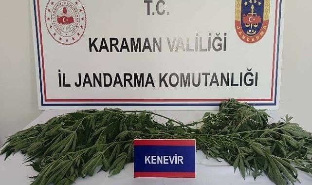 Karaman'da tarih eser ile kenevir ele geçirildi