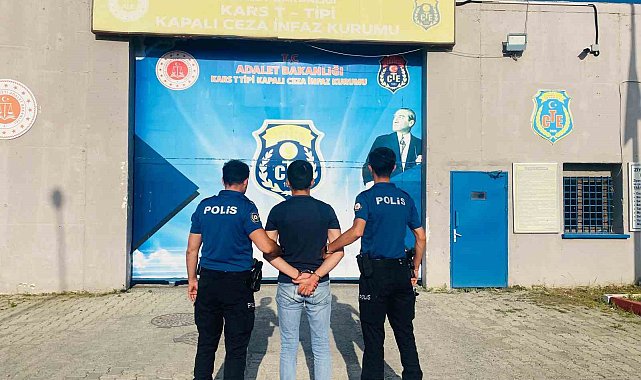 Kars Kalesi'nin otlarını yakan kişinin 27 suç kaydı çıktı