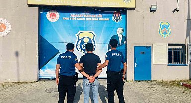 Kars Kalesi'nin otlarını yakan kişinin 27 suç kaydı çıktı
