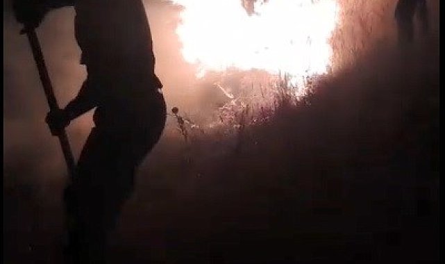 Kars'ta anız yangını söndürüldü