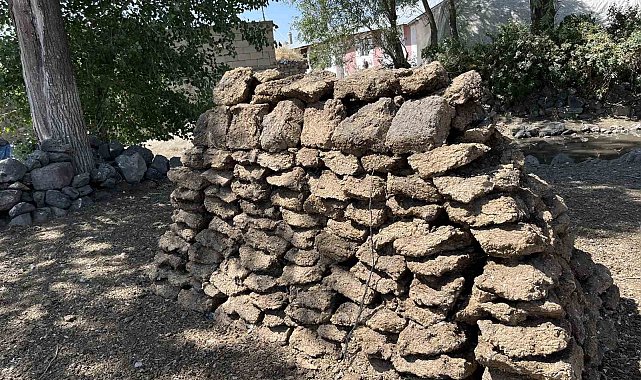 Kars'ta köylülerin kışlık tezek mesaisi başladı