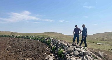 Kars'ta şap hastalığıyla mücadele sürüyor