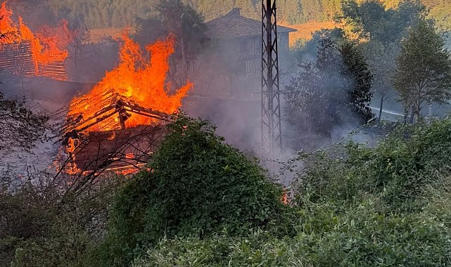 Kastamonu'da alevlere telim olan iki samanlık yandı