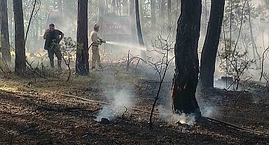 Kastamonu'da ormanlık alanda çıkan yangın büyümeden söndürüldü