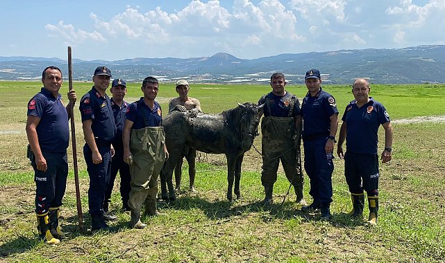Katırlarını kurtarmak isterken kendisi de battı