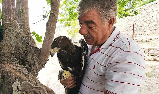 Kaya kartalı ile şahsın dostluğu görenleri şaşırtıyor