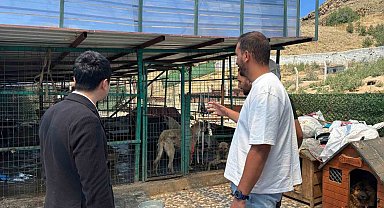 Kaymakam Tutal, Hayvan Barınağı'nda incelemelerde bulundu