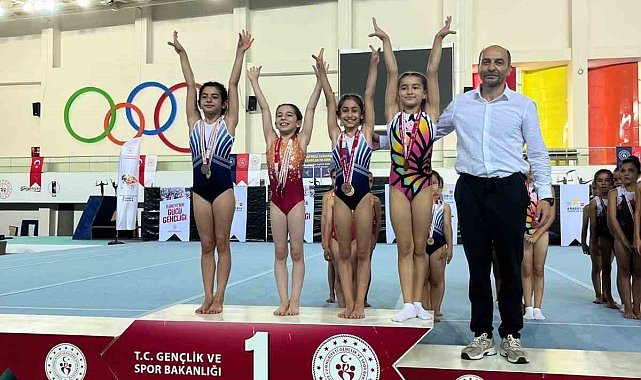 Kayserili jimnastikçilerTürkiye finalinde