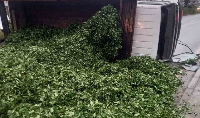 Kaza sonrası yola saçılan kamyon kasasındaki 10 ton çayı böyle temizlediler