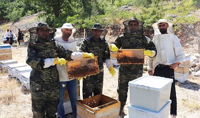 Kemah'ta arıcıların bal hasadı