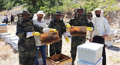 Kemah'ta arıcıların bal hasadı