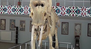 Kemaliye'deki müzede bulunan objeler arşivlendi
