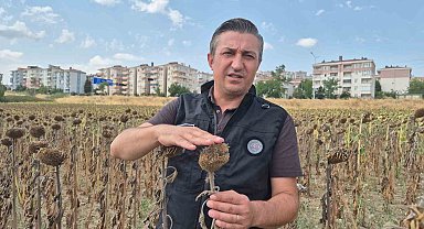 Kendilerine kepçeyle, çiftçiye çay kaşığıyla: Trakya Birlik'e tepki büyüyor