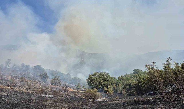 Kepsut'ta orman yangını