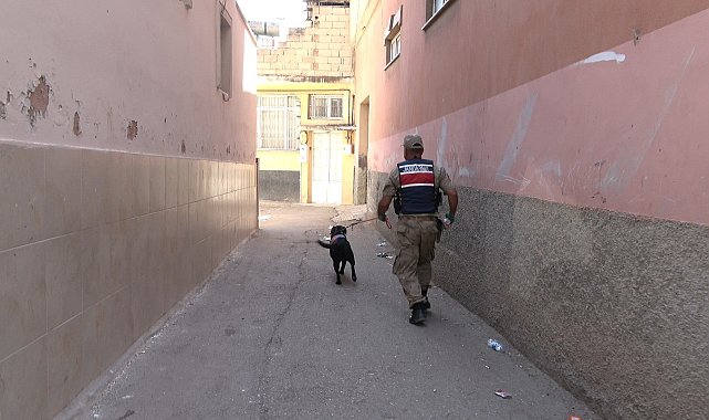 Kilis'te 2 yaşındaki kız çocuğu kayboldu