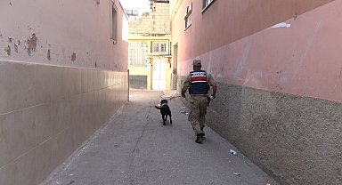 Kilis'te 2 yaşındaki kız çocuğu kayboldu