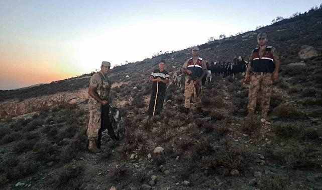 Kilis'te kaybolan 26 küçükbaş hayvan bulundu