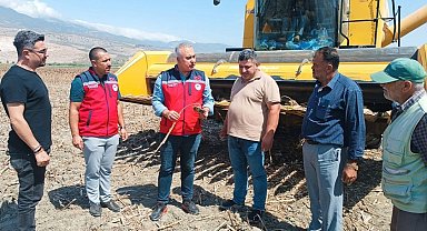 Kırıkhan'da ayçiçeği hasadı başladı