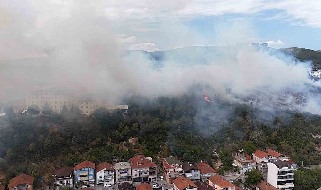 Kocaeli'de ağaçlık alana sıçrayan yangın kontrol altına alındı