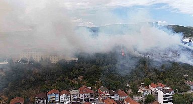 Kocaeli'de ağaçlık alana sıçrayan yangın kontrol altına alındı