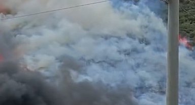 Kocaeli'de ağaçlık alanda yangın çıktı