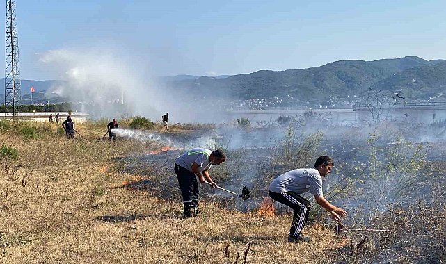 Kocaeli'de otluk yangını