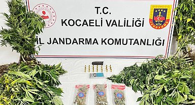 Kocaeli'de uyuşturucu operasyonlarında 1 şüpheli tutuklandı