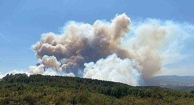 Kocaeli'deki orman yangınına havadan ve karadan müdahale ediliyor