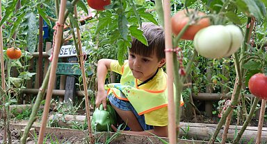 Kocaeli'de Lokomotif Çocuk Köyü'nde hasat sevinci