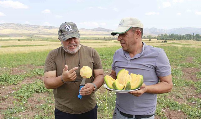 Kokusu, lezzeti, rengiyle farklı bağrıbütün hasadı başladı